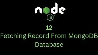 12 MongoDB Query Tutorial: Fetch Data Using Mongoose in Express.js