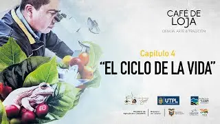 Café de Loja: Ciencia, Arte y Tradición | Capítulo 4 | El ciclo de la vida (ESP/ENG)