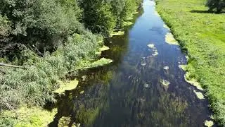 Тихая сосна 2022