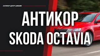 Антикор Skoda Octavia