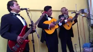 Gema