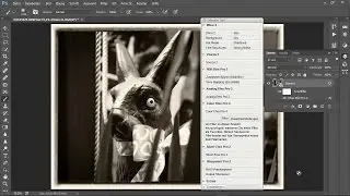 Nik-Filter und Photoshop-Ebenen | Auszug aus: Google Nik Collection — Das Praxistraining