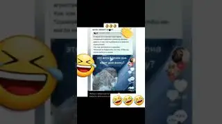 Милосердие наше беспощадно!