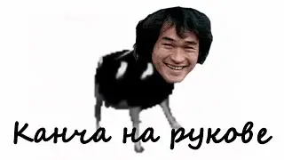 Цойская корова (Виктор Цой - Группа Крови)