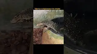подпишитесь, если нравится❤️‍🔥 