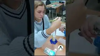 Физика вокруг нас.