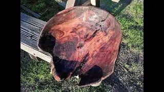 72. The spalted walnut wonder bowl