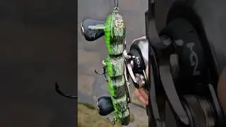 #handmade #snake #fishing #lure #youtubeshorts #youtube #shorts #swim #test
