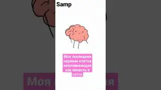 Последняя капля! #приколы #samp #мозг