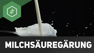 Milchsäuregärung