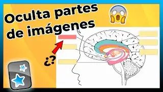 ESTUDIA con IMÁGENES en Anki - Complemento IMAGE OCCLUSION