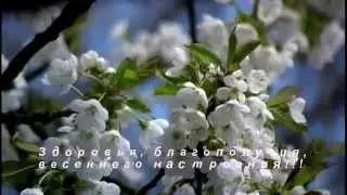 Весеннего настроения!