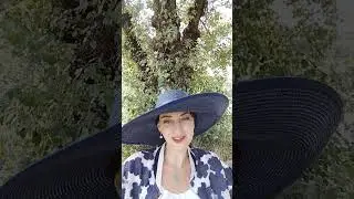 код публичности, целительство