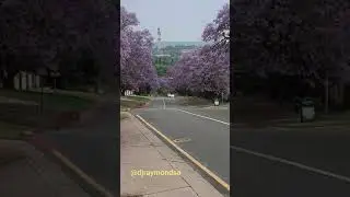 Rigel Avenue Pretoria, South Africa