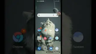 Шлёпа + пяторачка взорванная=пельмени😎👍