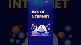 🌐 Uses of the Internet 🌐