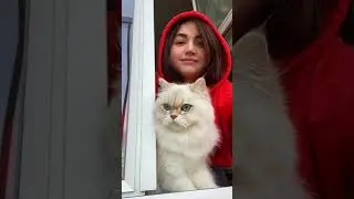Котёнка выгуливаем на балконе 
