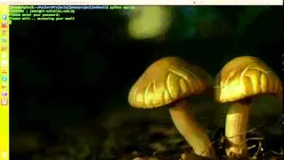 python webmail script testing