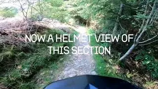 Bringewood Downhill with Dad