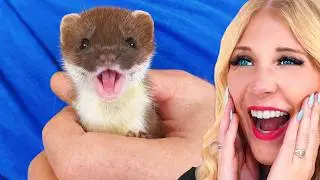 Try Not To Say AWW Challenge! *IMPOSSIBLE*