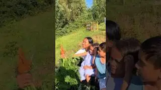 Serunya panen wortel bareng bocil di kebun😍