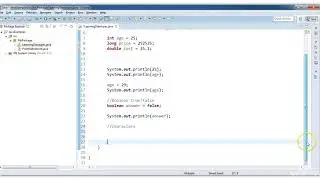 Java Class 4 -  While & Do While Loop