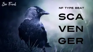 🎶 