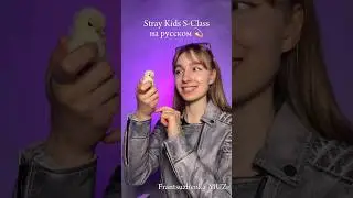 Stray Kids 
