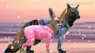 WildCraft клип зацепила