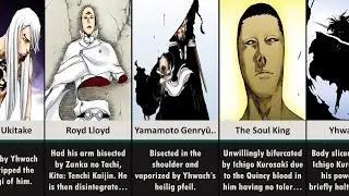 The Cause of Death of All Bleach TYBW Characters