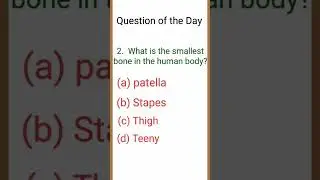 #gk #gkquiz #gkquestion