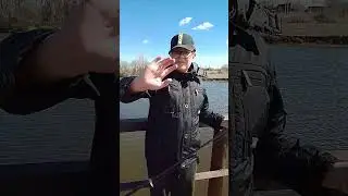 итоги