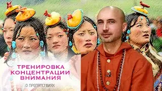 Тренировка в концентрации внимания - о препятствиях