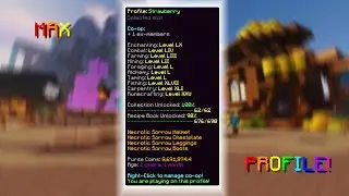 I Start My Grind to MAX MY PROFILE! (Hypixel Skyblock)