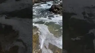 The most beautiful and clean sea/El mar más hermoso y limpio #shorts  #travel #beach #nature #mar