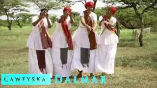 Dhaanto | Sooryo | Cali Dhaanto