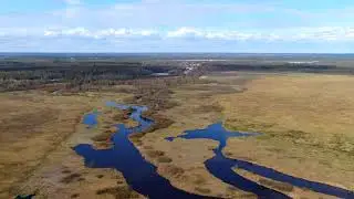 Сестрорецк в 4к. Заказник  Сестрорецкое болото. Озеро Разлив.