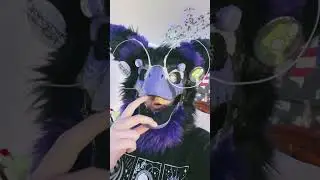 Bring this trend back! #furry #furries #fursuit #fursuiter #therian #antizoo #theriantropy