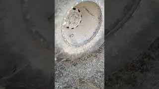 VID 20180412 164746