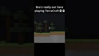 Minecraft Terraria Edition