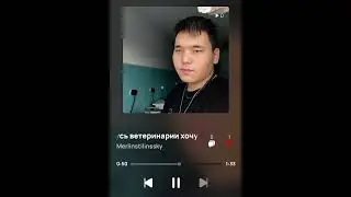 Merlinstilinssky - мне 20 учусь в ветеринарии хочу быть знаменитым