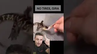 No tires , gira.
