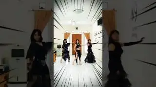 Belly Dance by Linda K9 Studio - No Feelings Lost  