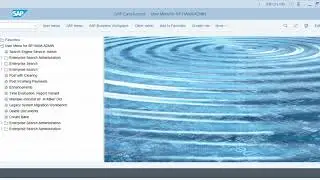 Assigning Authorization Groups to Programs