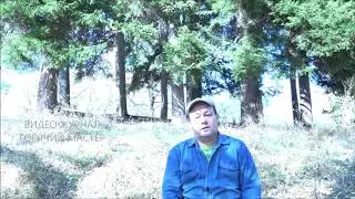 КАКОЙ ФУНДАМЕНТ ВЫБРАТЬ