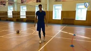Колледж полиции. Видеоурок: Волейбол