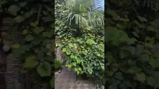 Потерялся