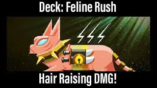 *Deck: Feline Rush! Hair-Raising DMG with Felines 