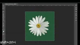 Remove Background from Images : How to Use our Simple way to Background Remove |