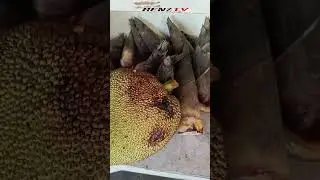 07-30-2024 CAPIZ STREET MARKET AT PROVINCIAL PARK, ROXAS CITY #shortsvideo #manindahanta